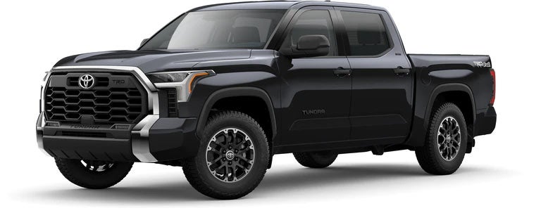 2022 Toyota Tundra SR5 in Midnight Black Metallic | Gosch Toyota in Hemet CA